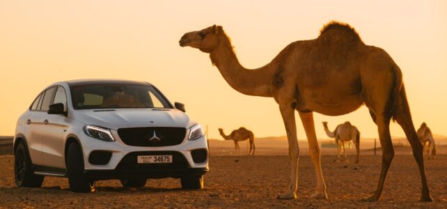 The History of Cars in the United Arab Emirates